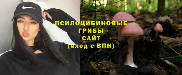 спиды Новозыбков