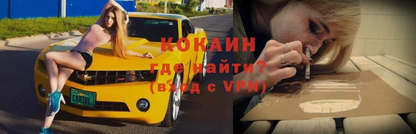 спиды Новозыбков