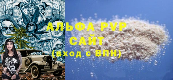 спиды Новозыбков