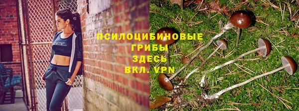 спиды Новозыбков