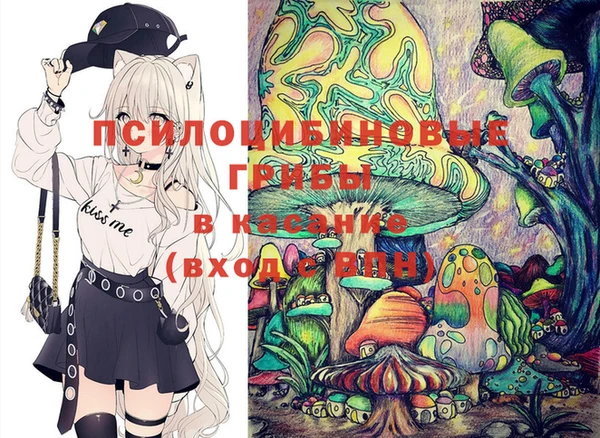 МДПВ Новодвинск